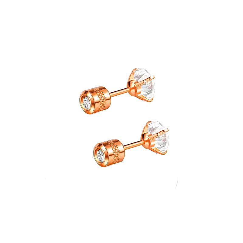 Stainless Steel Four-claw Round Double Zircon Stud Earrings