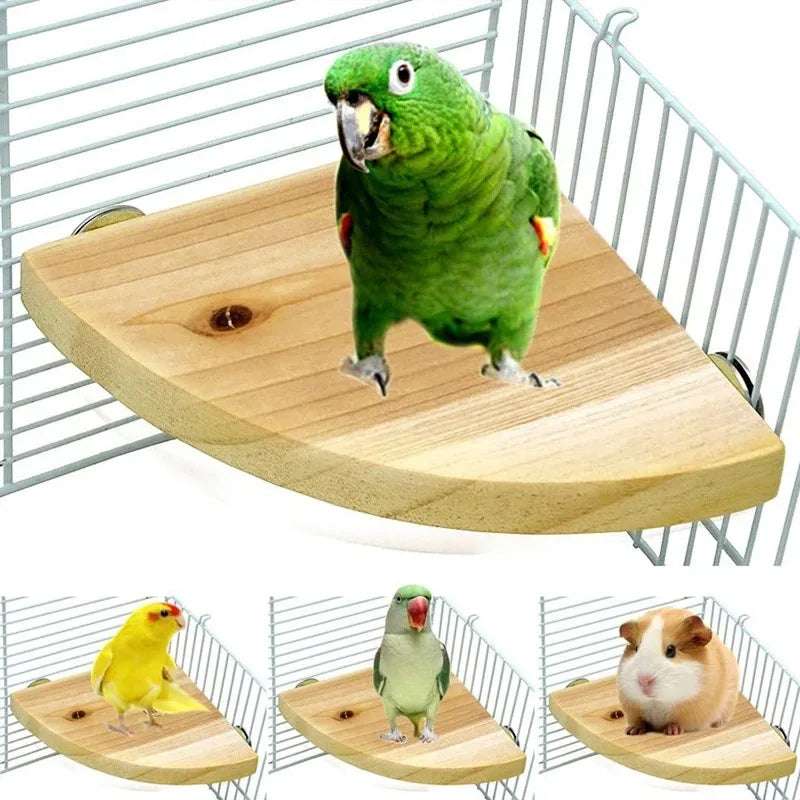 Parrot Bird Wood Perch Stand Platform Rectangle Fan-shaped Shelf Stand Board Parakeet Hamster Gerbil Rat Cage birdcage Supplies