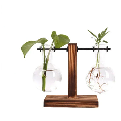 Modern Hydroponic Plant Terrarium Glass Vase