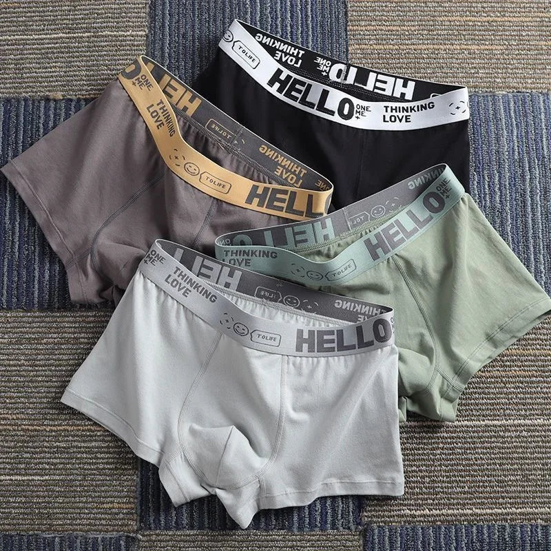 5pcs Mens Underwear Male Boxers Sexy Underpant Comfortable Breathable Fashion New Style Softness Boys Catton Panties Boxershorts