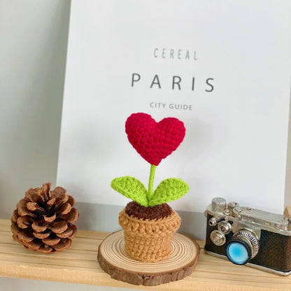 Handmade Red Heart Shaped Knitted Flower Pot