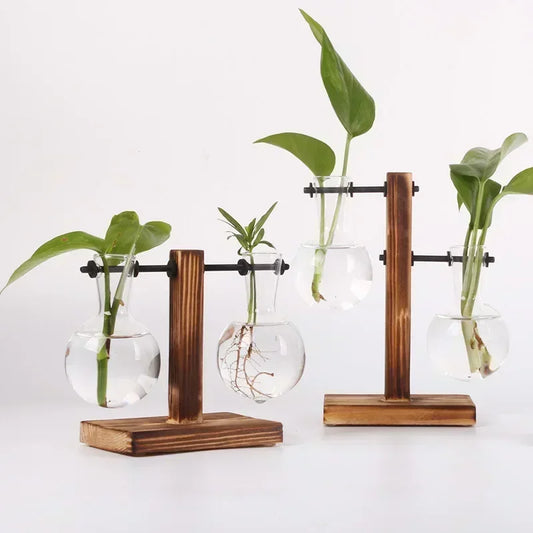 Modern Hydroponic Plant Terrarium Glass Vase